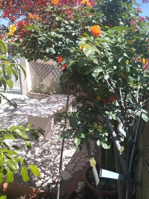 Gollai House Apartman Orosei Kültér fotó