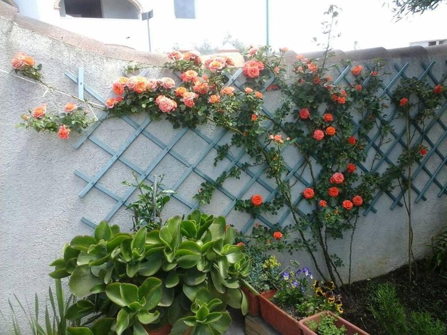 Gollai House Apartman Orosei Kültér fotó
